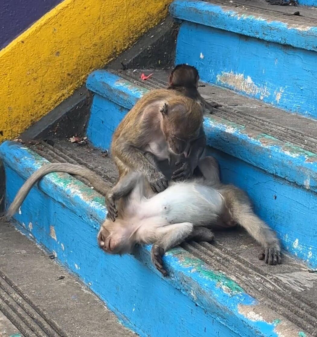 Auddk_77 명아 – 명아는 오또케 Part02 (68P)