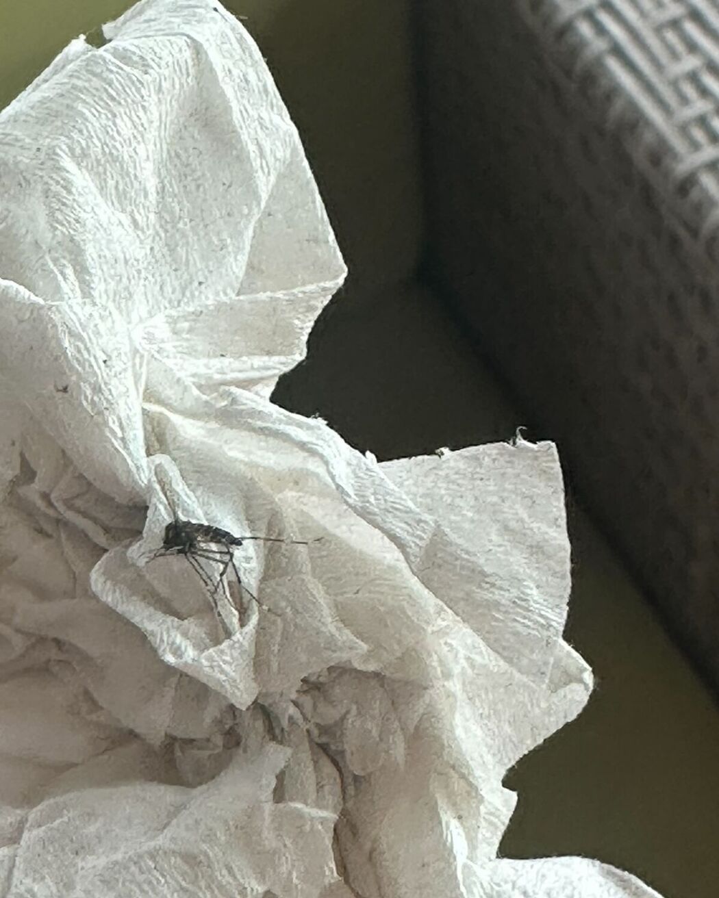 Auddk_77 명아 – 명아는 오또케 Part05 (68P)