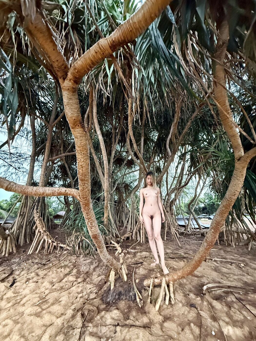 希威社 Photography &#8211; 極品妹妹未流出視圖合集 大尺度 私拍 Part01 (68P &#8211; 6V)