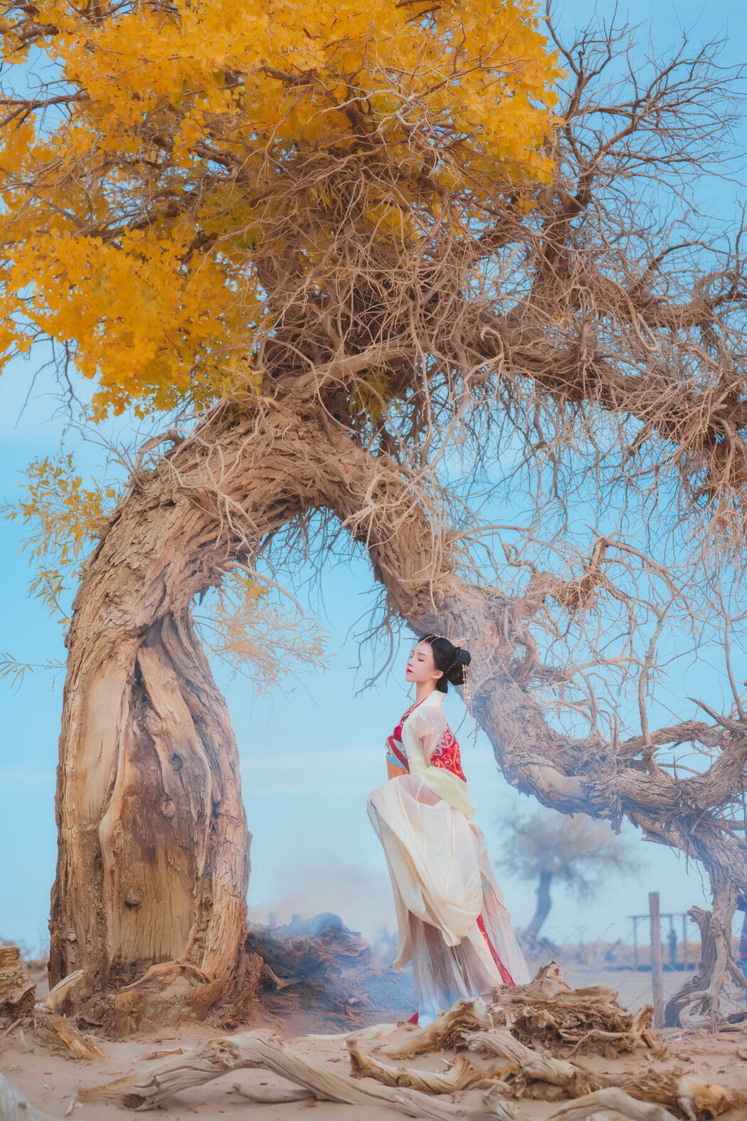 Coser@桜桃喵 – 惊鸿 (15P)