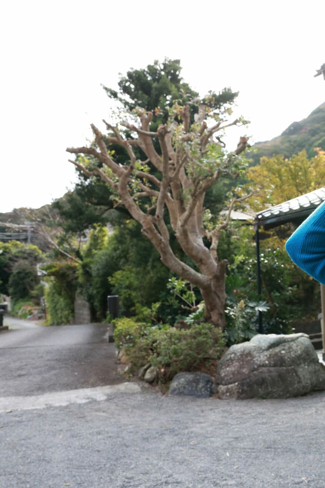 JP Miho Machiyama 街山みほ &#8211; FRIDAYデジタル写真集 Scarlet スペシャルEdition Vol.2 (66P)