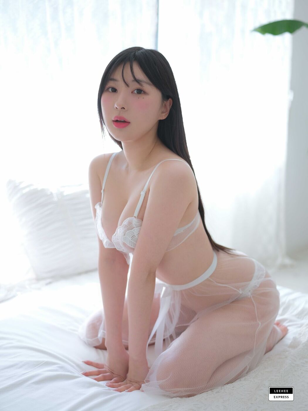 LE LERB-130A Park Star (56P)