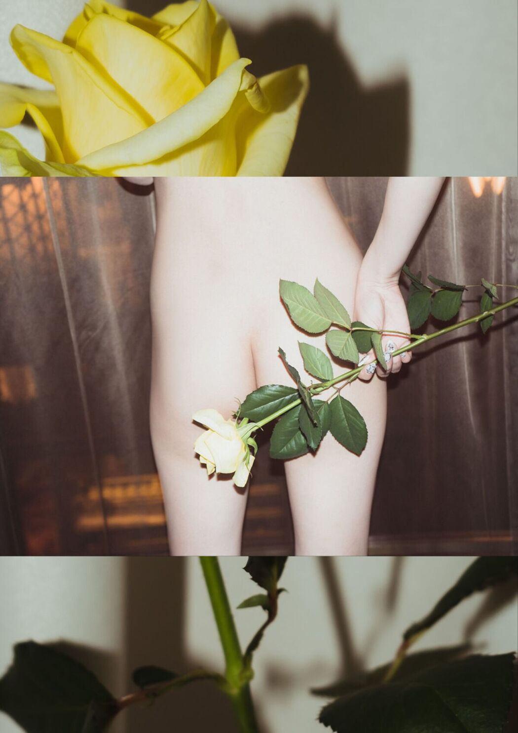 JP Rena Miyashita 宫下玲奈 &#8211; LadyMary Part02 (52P)