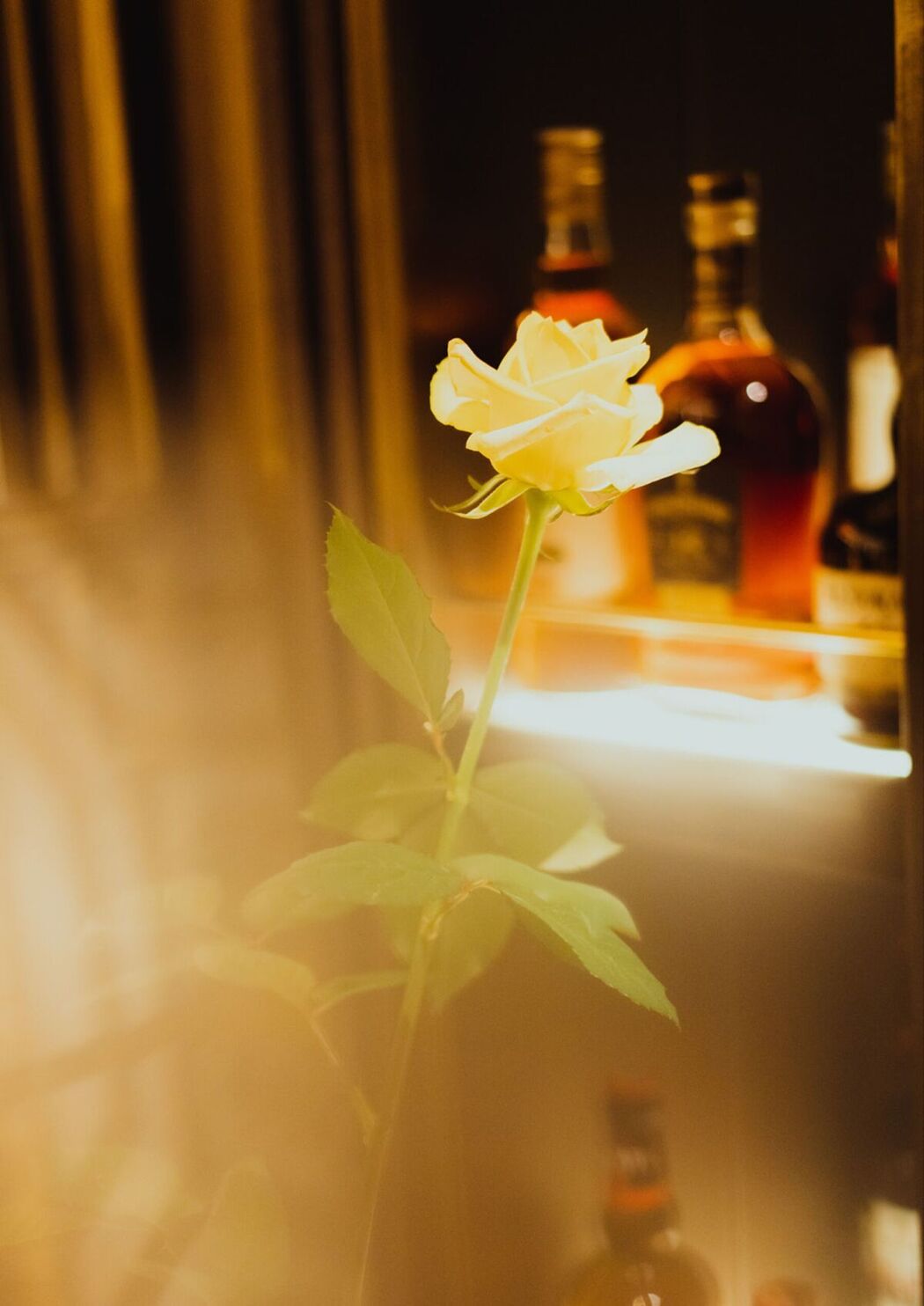 JP Rena Miyashita 宫下玲奈 &#8211; LadyMary Part01 (52P)