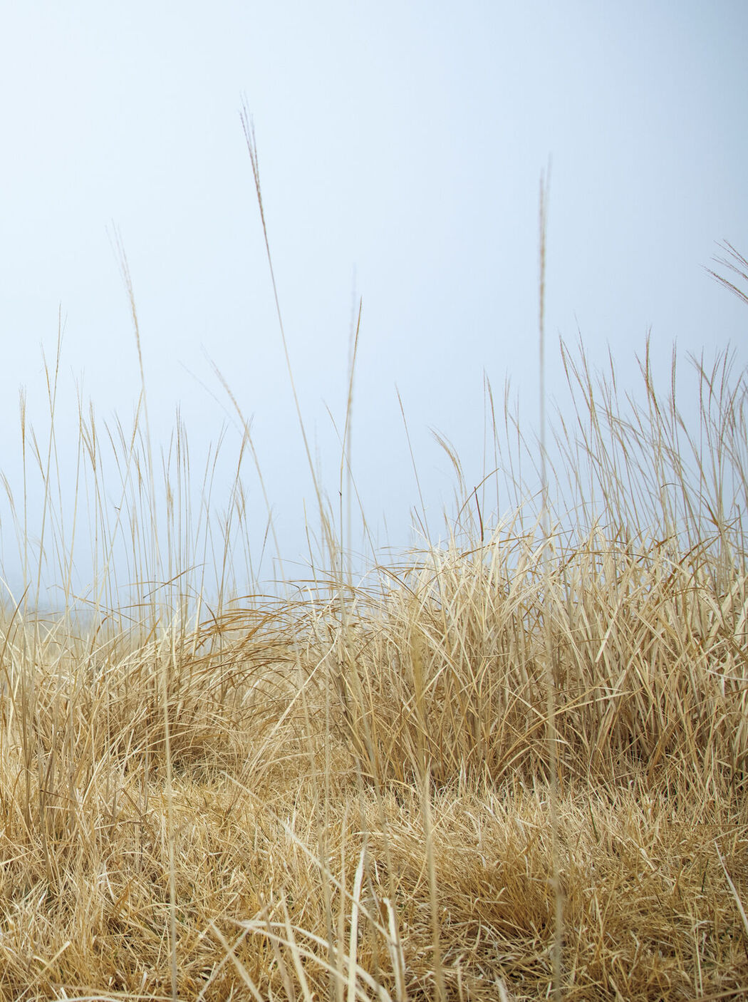 JP Miho Machiyama 街山みほ &#8211; 電子版だけの特典カット付き 写真集 Phantom Part01 (63P)