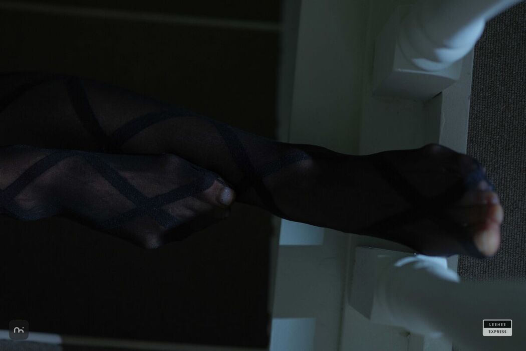 LE LERB-179B Mystique (71P)