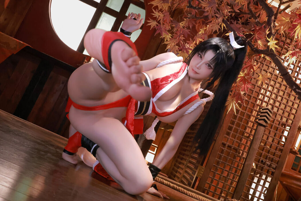 Coser@水淼aqua – 不知火舞 (66P)