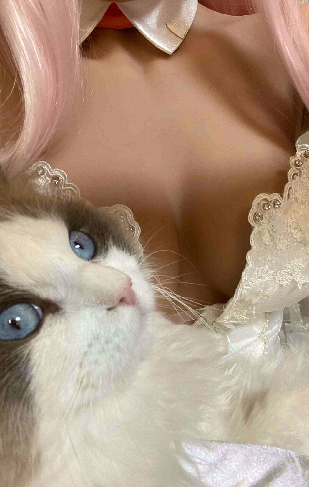 Coser@起司块wii &#8211; 自拍1 (41P)