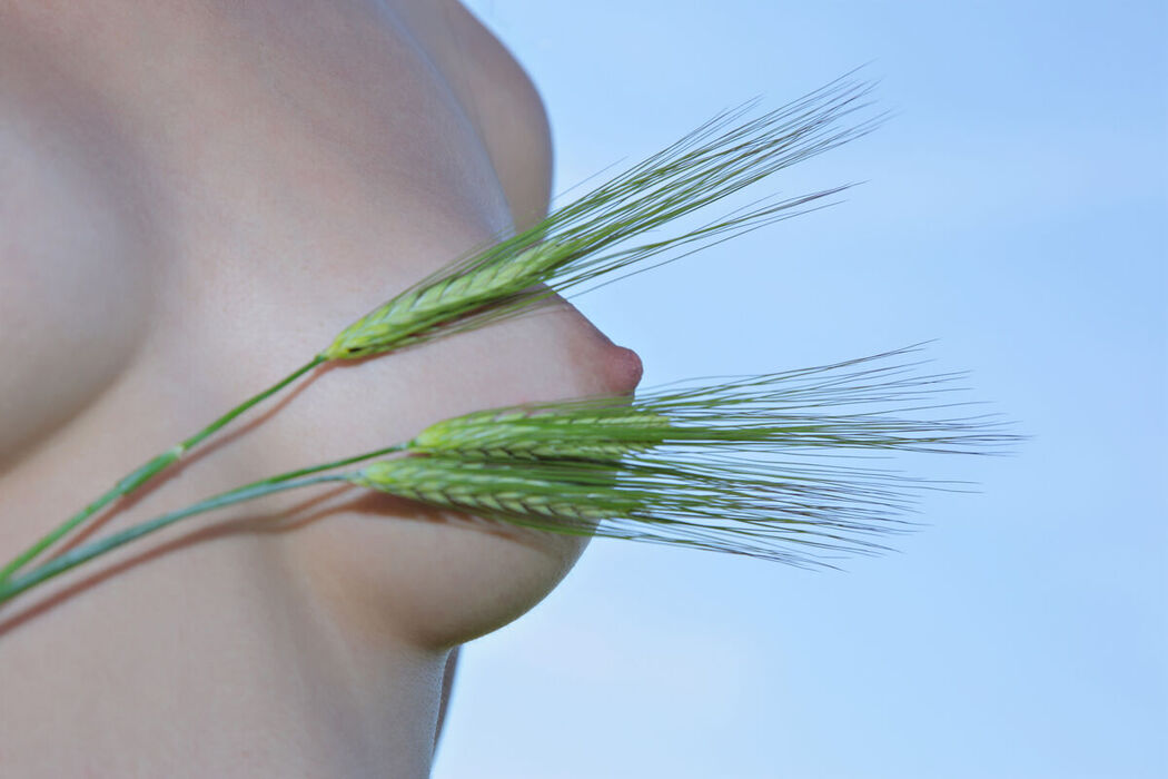 MetArt Melani A &#8211; Mavuno Part02 (71P)