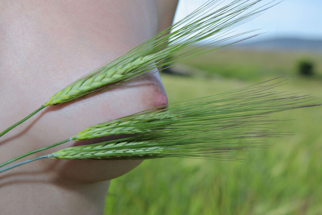 MetArt Melani A &#8211; Mavuno Part02 (71P)