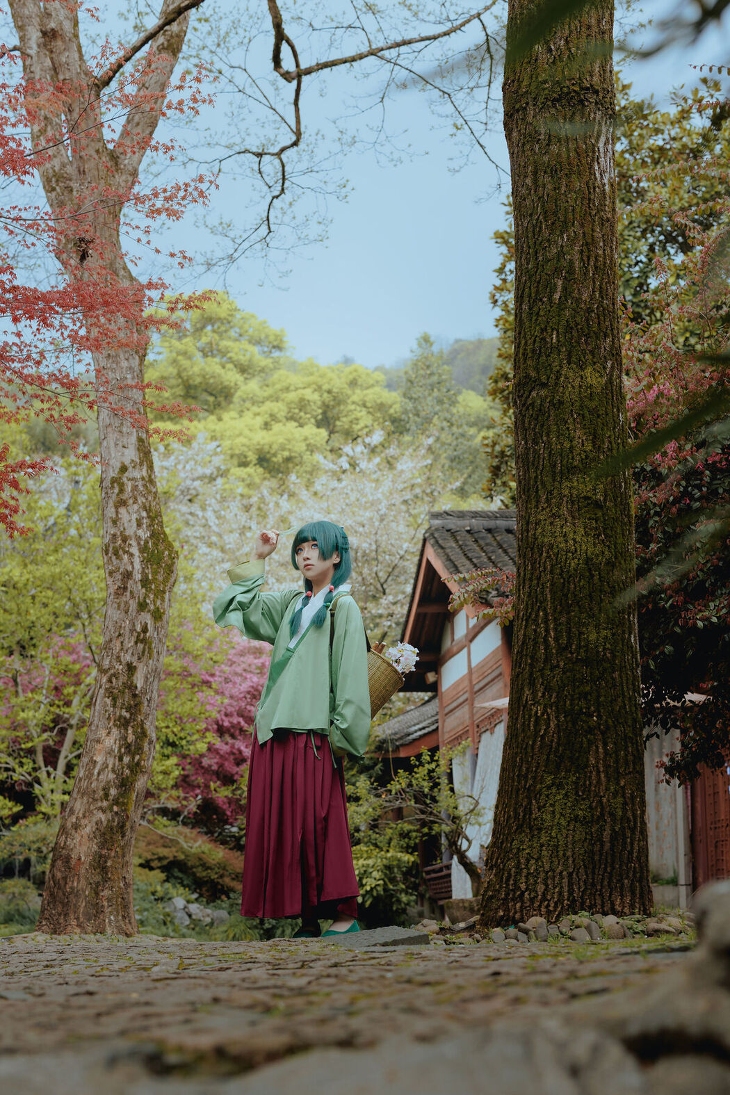 Coser@矢量鱼 – Maomao (52P)