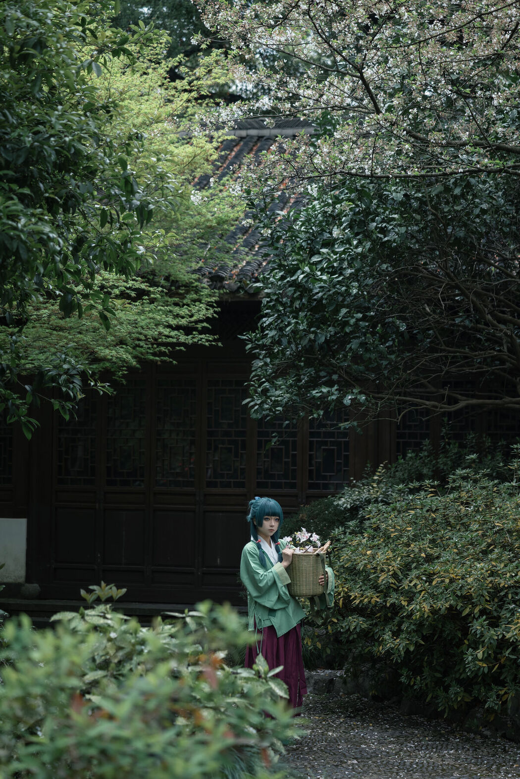 Coser@矢量鱼 – Maomao (52P)