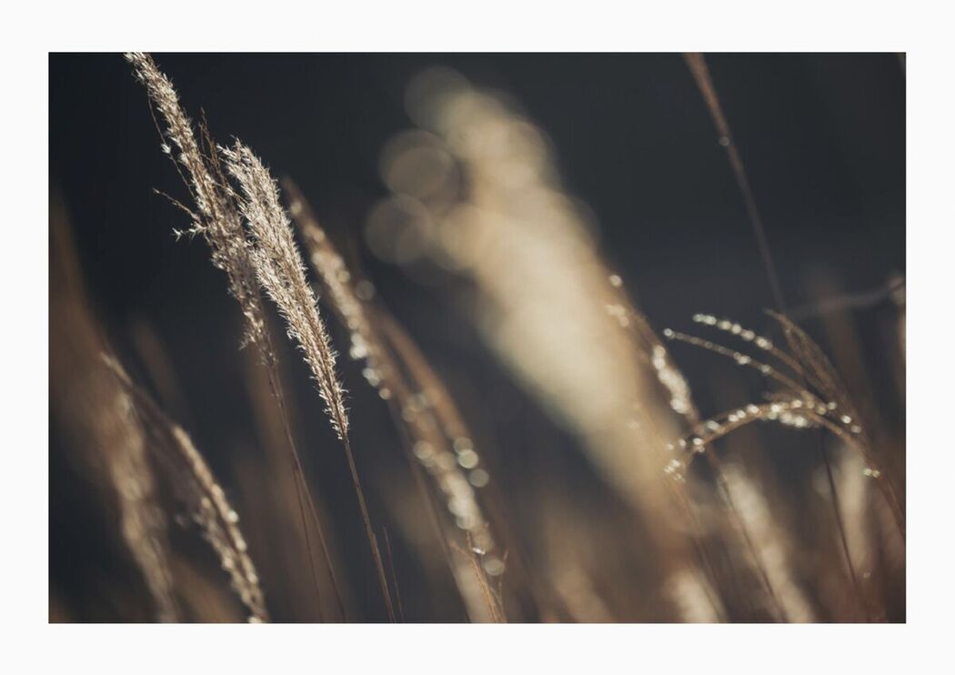 JP Satsuki Mei 沙月芽衣 – 写真集 芽ばえちゃう Wunder Publishing House Part04 (67P)