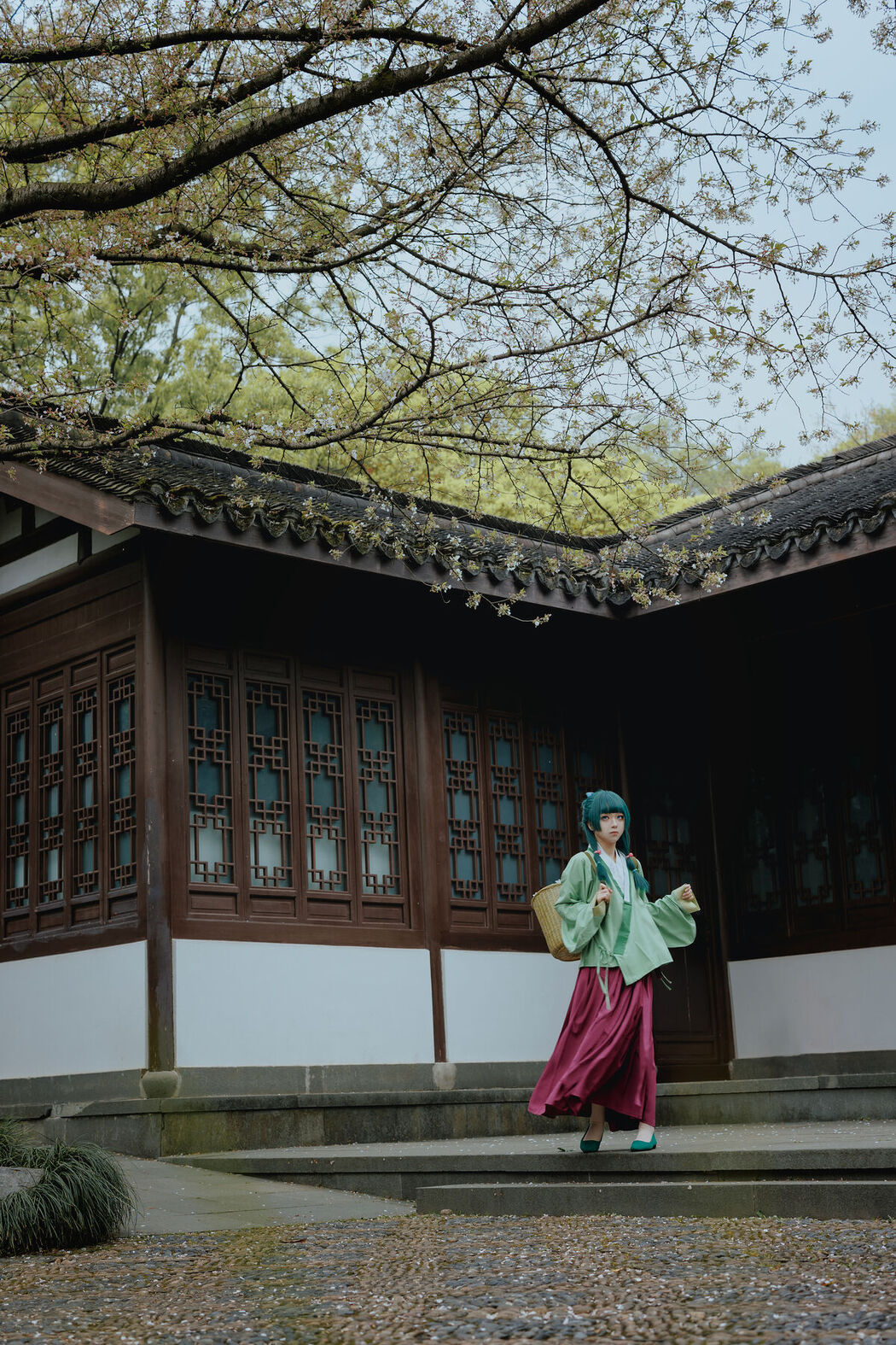 Coser@矢量鱼 – Maomao (52P)