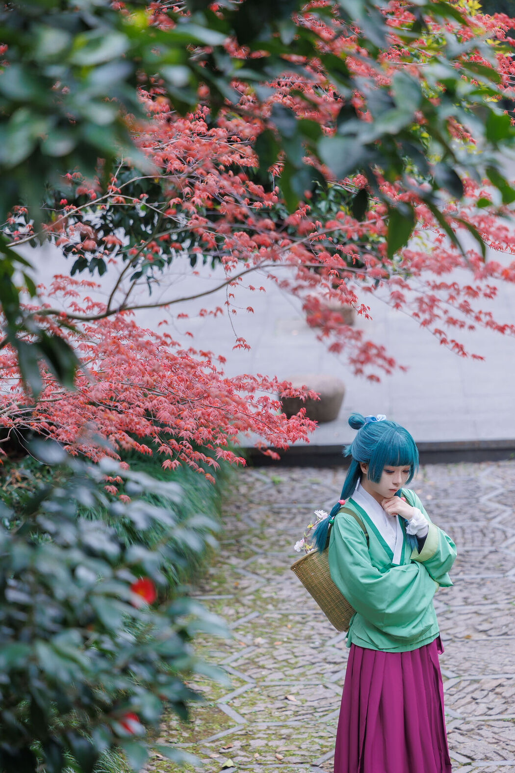 Coser@矢量鱼 – Maomao (52P)