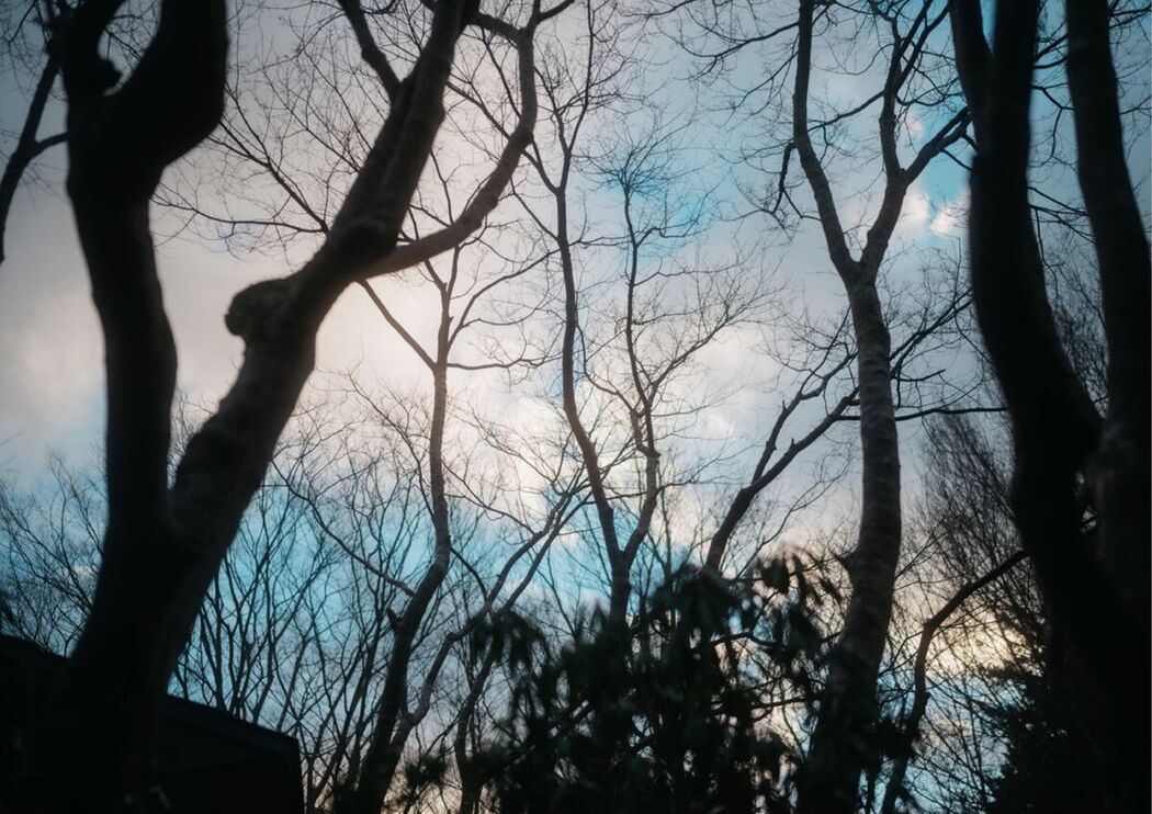 JP Satsuki Mei 沙月芽衣 – 写真集 芽ばえちゃう Wunder Publishing House Part04 (67P)