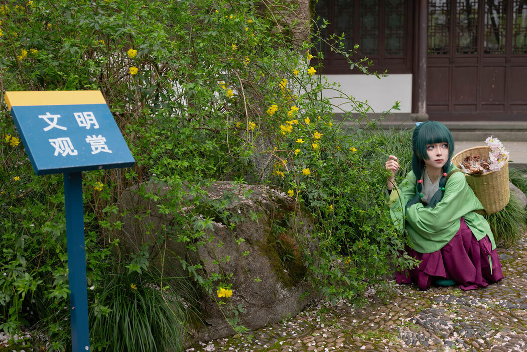 Coser@矢量鱼 – Maomao (52P)