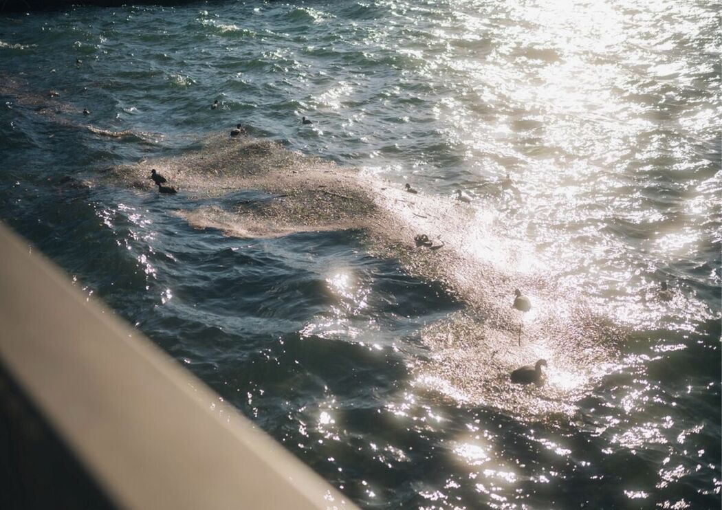 JP Satsuki Mei 沙月芽衣 – 写真集 芽ばえちゃう Wunder Publishing House Part01 (67P)