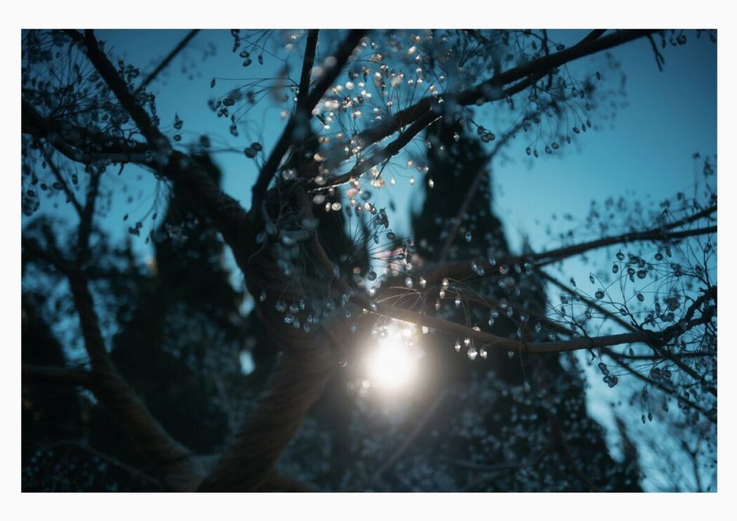 JP Satsuki Mei 沙月芽衣 – 写真集 芽ばえちゃう Wunder Publishing House Part04 (67P)