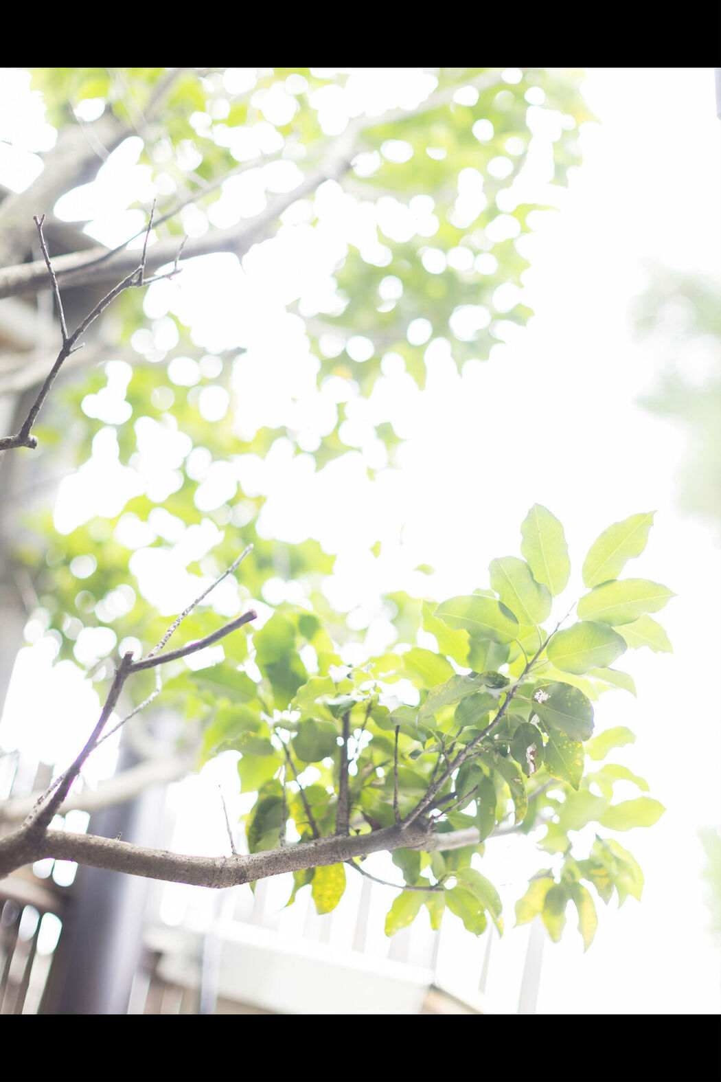 JP Hikari Kisaki 妃ひかり – オープンシャワー写真集 光りが射す方へ Part02 (57P)