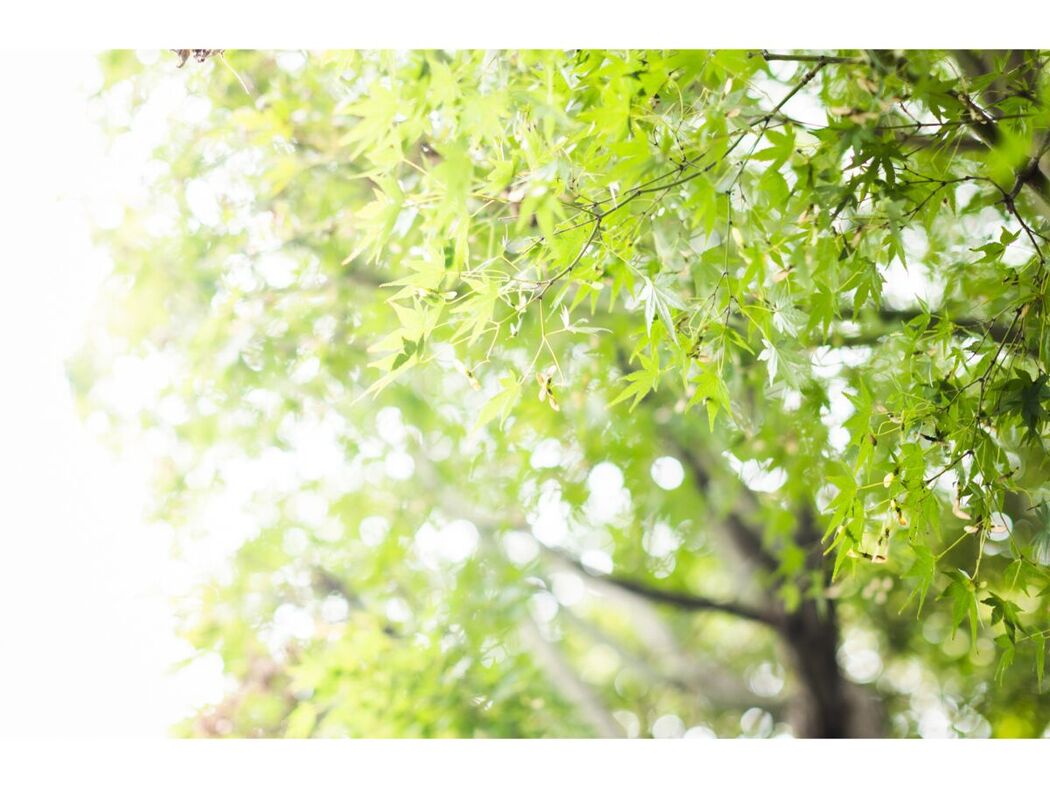 JP Hikari Kisaki 妃ひかり – オープンシャワー写真集 光りが射す方へ Part01 (57P)