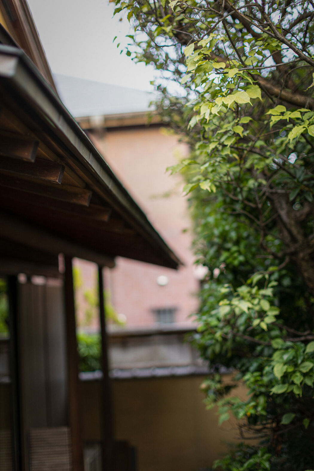 JP Hikari Kisaki 妃ひかり – オープンシャワー写真集 光りが射す方へ Part02 (57P)