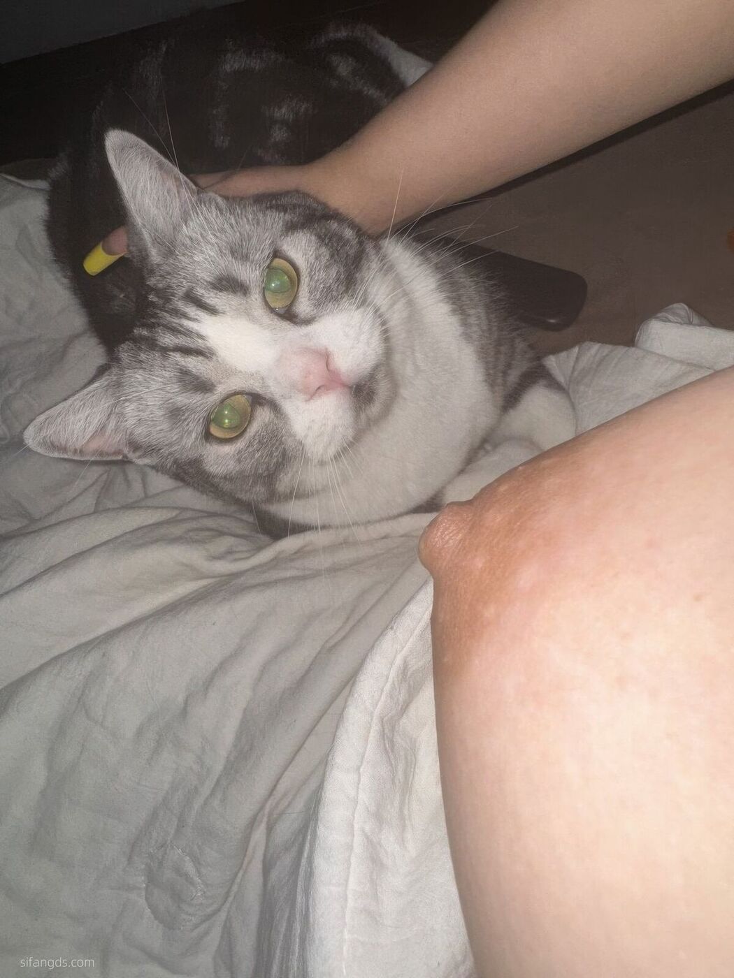 Sha Le Mei Xiao Cang Lao Shi 莎乐美小苍老师 – 网红外围 最新私密群门槛福利 Part06 (61P)