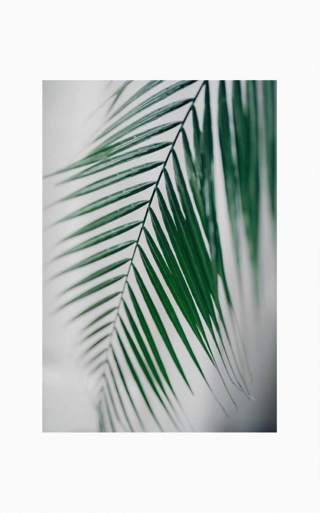 JP Sha Ai 紗愛 – デジタル写真集 En Wunder Publishing House Part03 (61P)