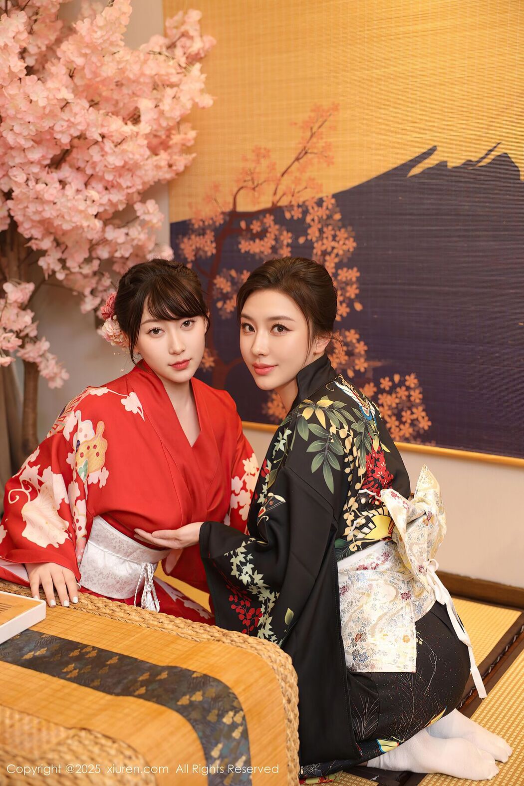 XiuRen秀人网 No.10627 Su Yi Nuo (81P)