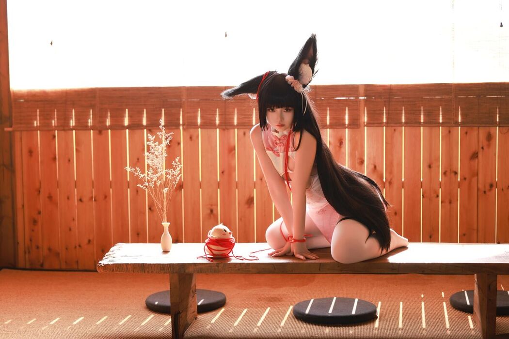 Coser@G44不会受伤 &#8211; 长门 (28P)