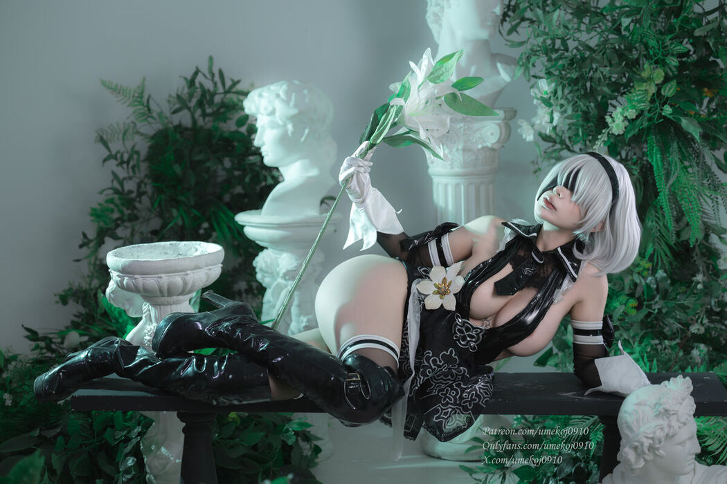 Coser@UmekoJ &#8211; Eve 2B Dress Part01 (55P &#8211; 11V)
