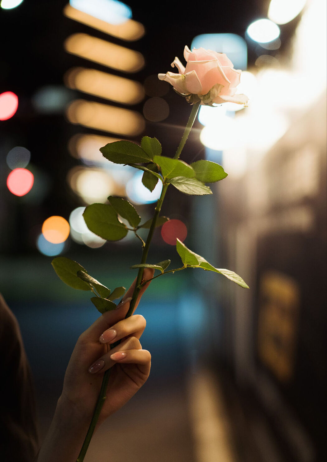 JP Mio Ishikawa 石川澪 &#8211; LadyMary Part01 (53P)