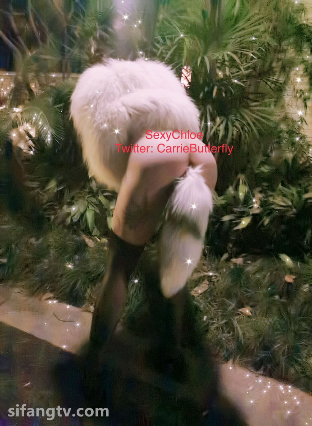 Sexychloe – 永久会员福利合集 Part04 (62P)