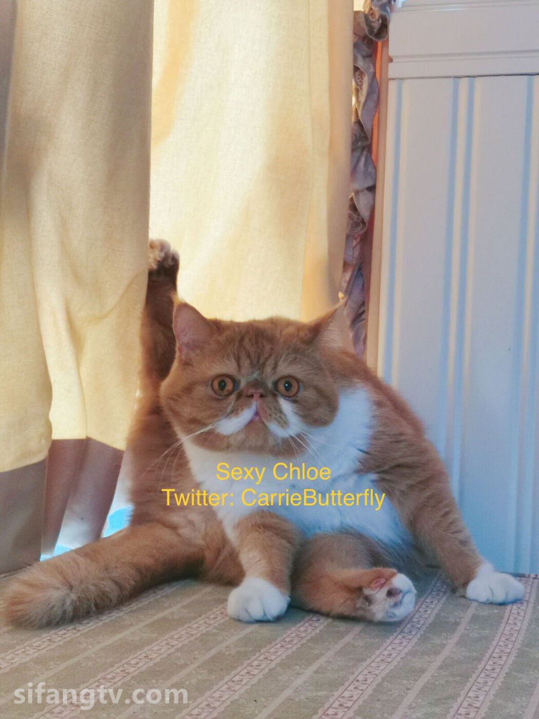 Sexychloe – 永久会员福利合集 Part04 (62P)