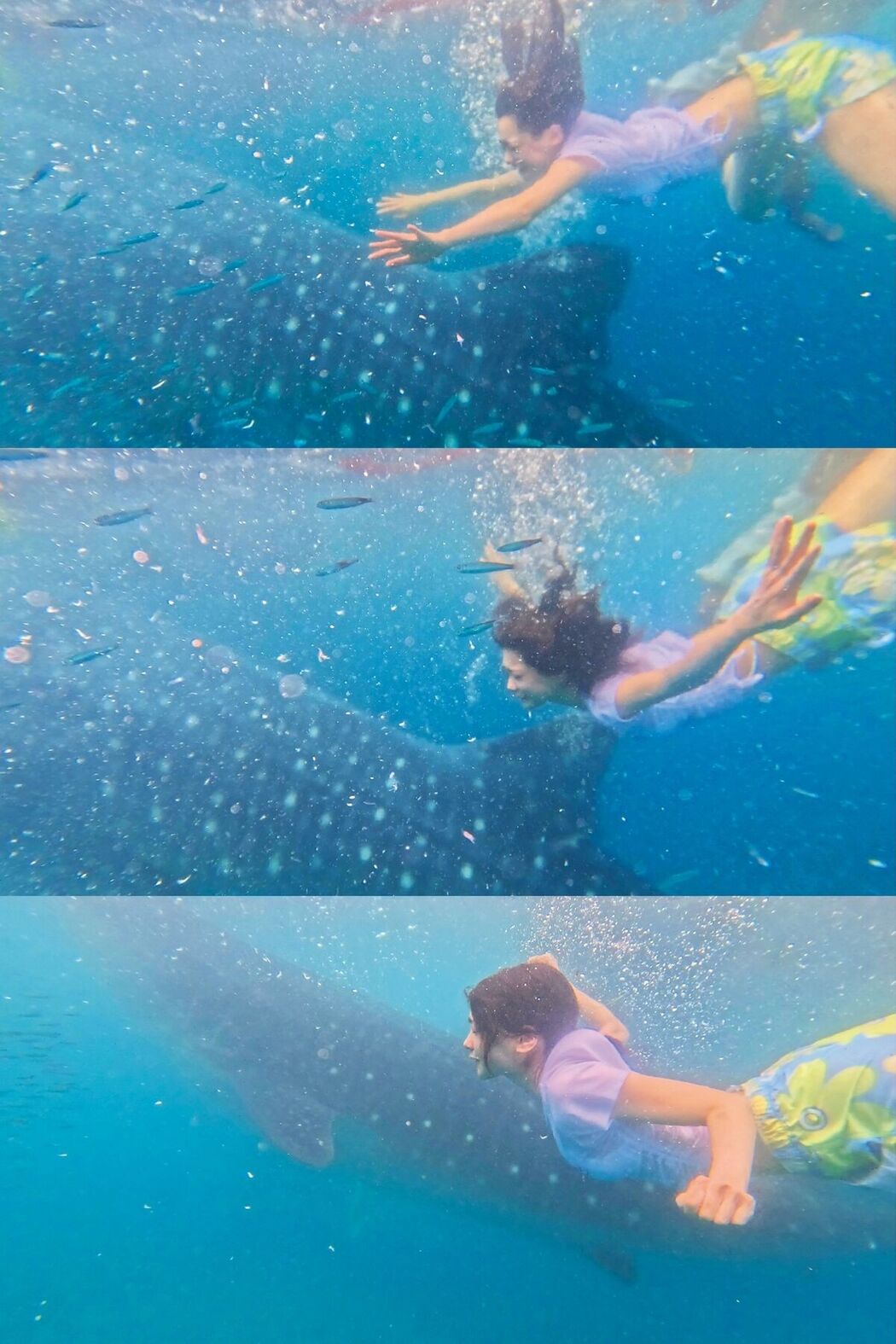 JP Maya Imamori 今森茉耶 &#8211; 1st写真集 恋がはじまクる Part01 (72P)