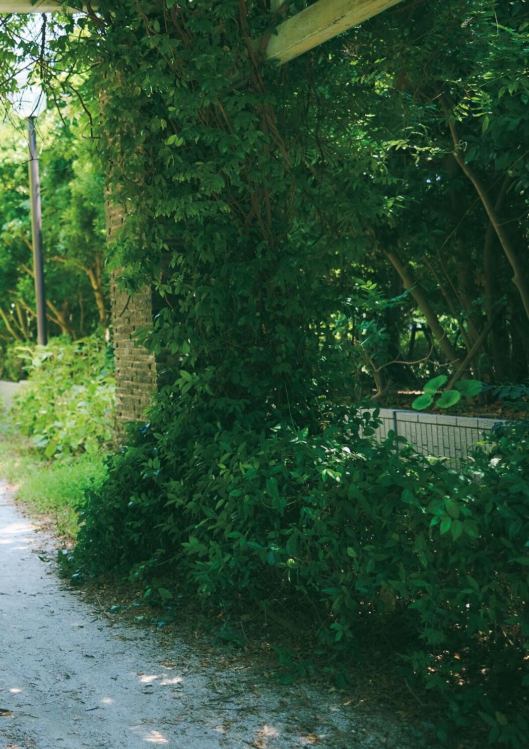 JP Hiroe Igeta 井桁弘恵 – 写真集 つかのま Part02 (73P)