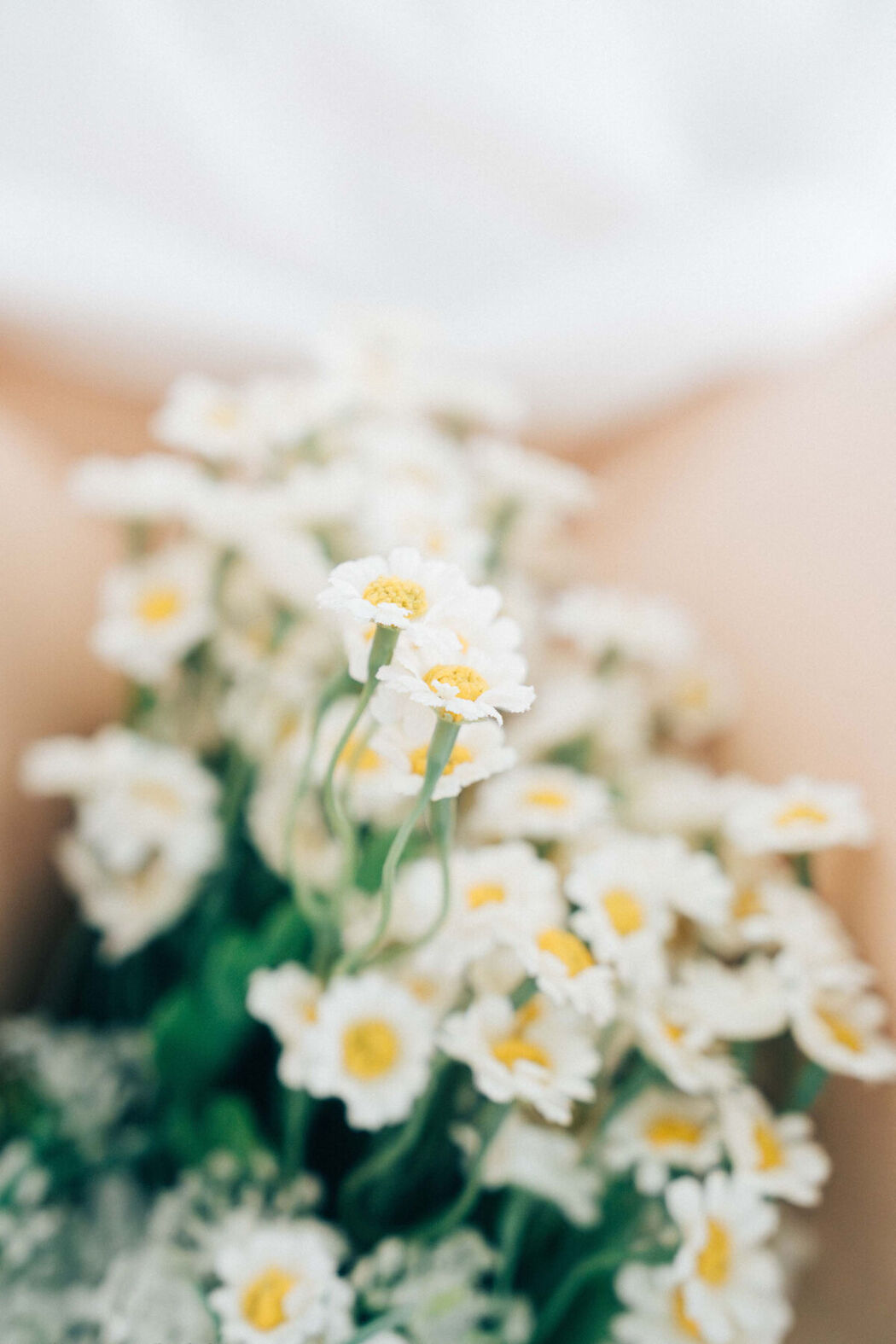 Haivia RAMI &#8211; Fair Skin (89P)