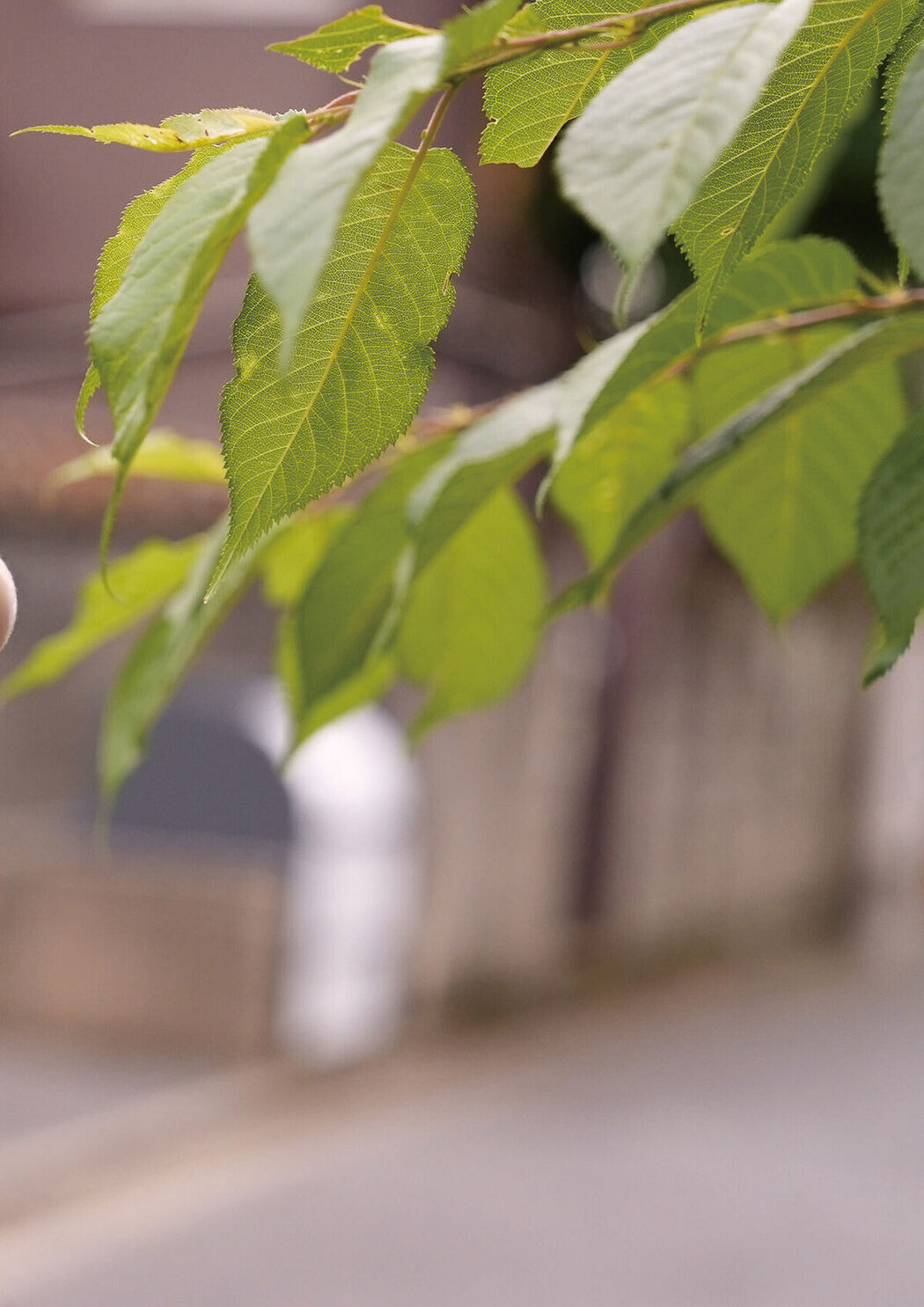 JP Miu Shirahama 白濱美兎 &#8211; 忘れられない恋の味 BOMBデジタル写真集 (54P)