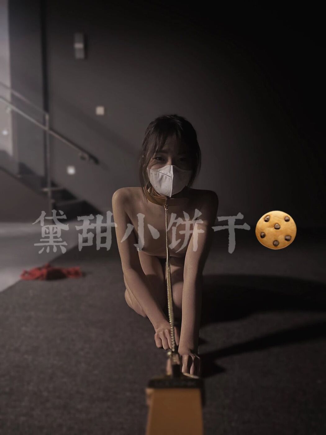 Tian01黛甜小饼干 – 奴印文化模特 (41P – 11V)