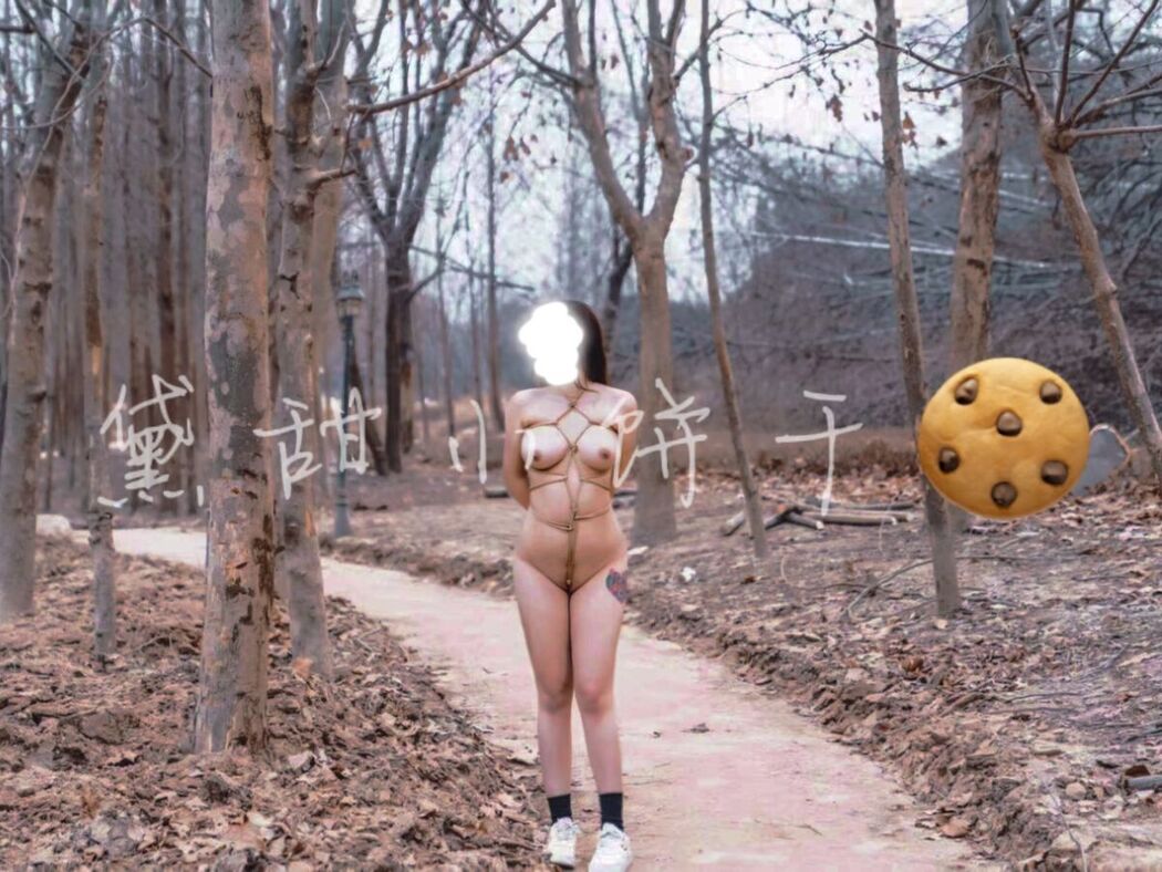 Tian01黛甜小饼干 – 奴印文化模特 (41P – 11V)