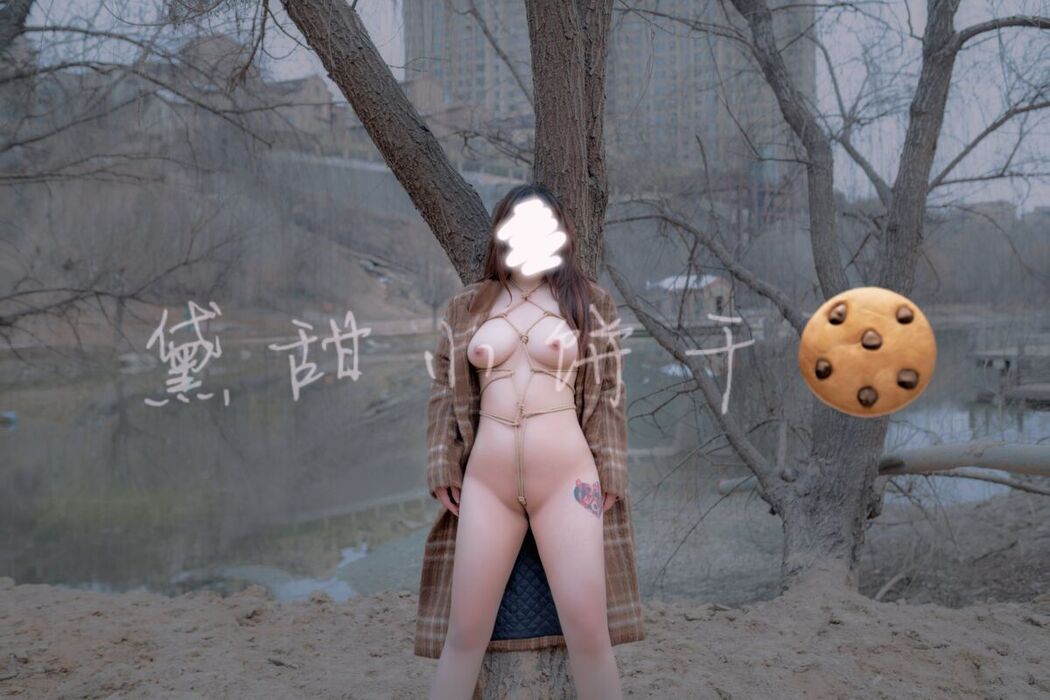 Tian01黛甜小饼干 – 奴印文化模特 (41P – 11V)