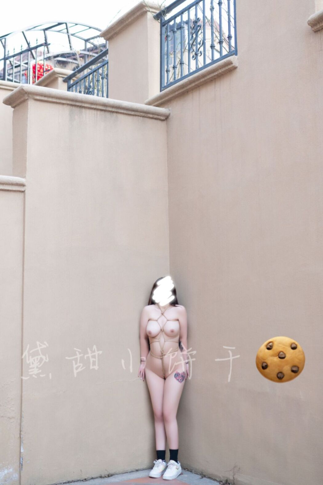 Tian01黛甜小饼干 – 奴印文化模特 (41P – 11V)