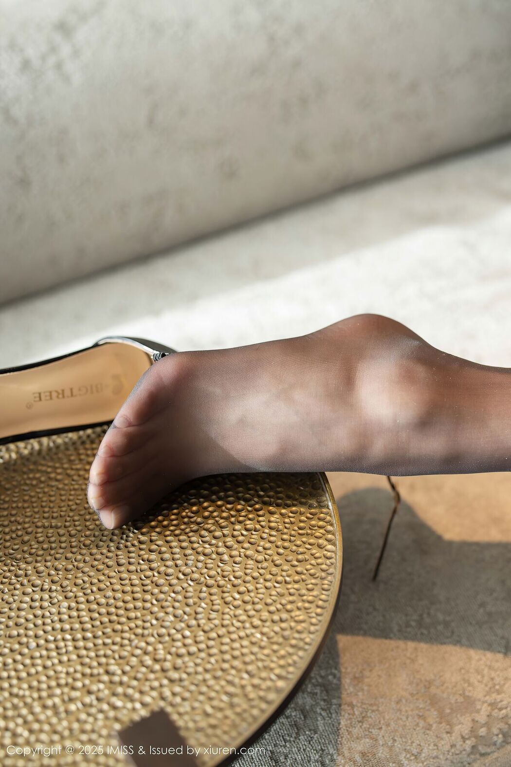 IMiss爱蜜社 Vol.799 Xu Nuo Sabrina (93P)