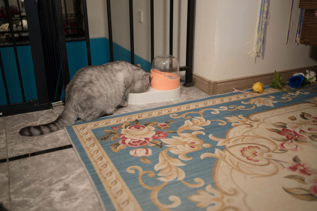 Coser@阿半今天很开心 &#8211; 赛马娘 大和赤骥 绯红的星落之夜 (49P)