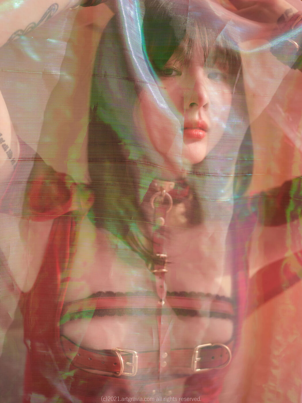 AG Vol.359 Jang Joo 장주 Part2