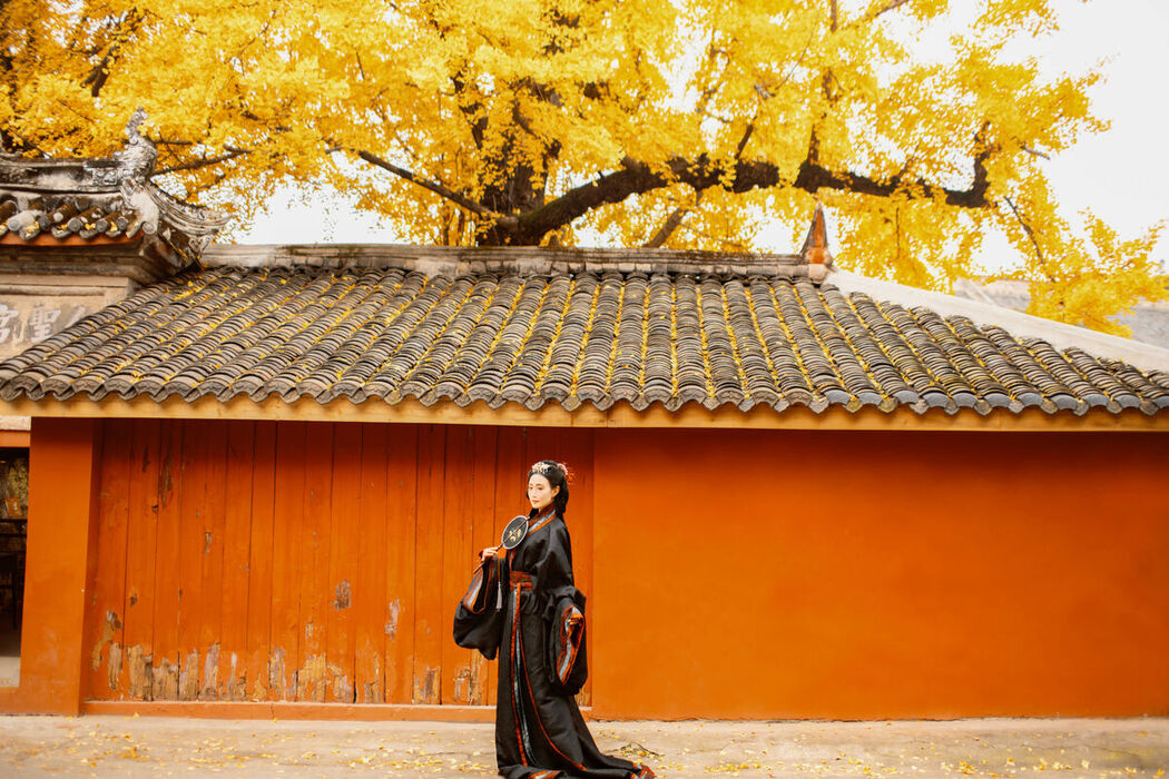 YiTuYu艺图语 Vol.8525 Tao Zi (49P)