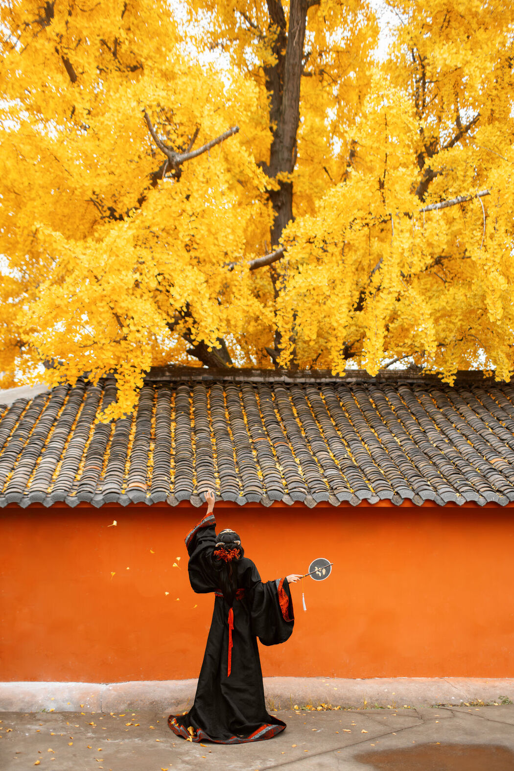 YiTuYu艺图语 Vol.8525 Tao Zi (49P)