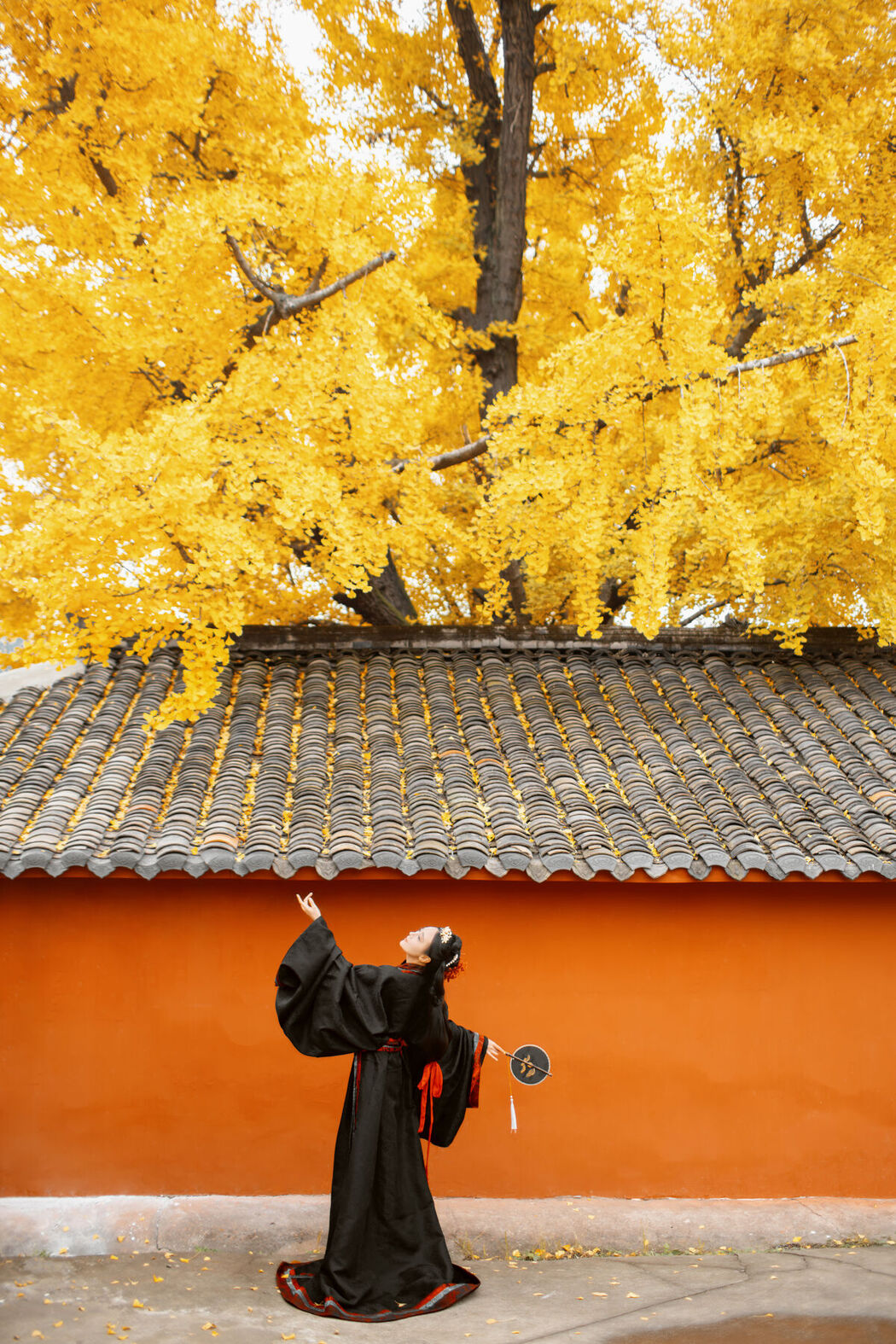 YiTuYu艺图语 Vol.8525 Tao Zi (49P)