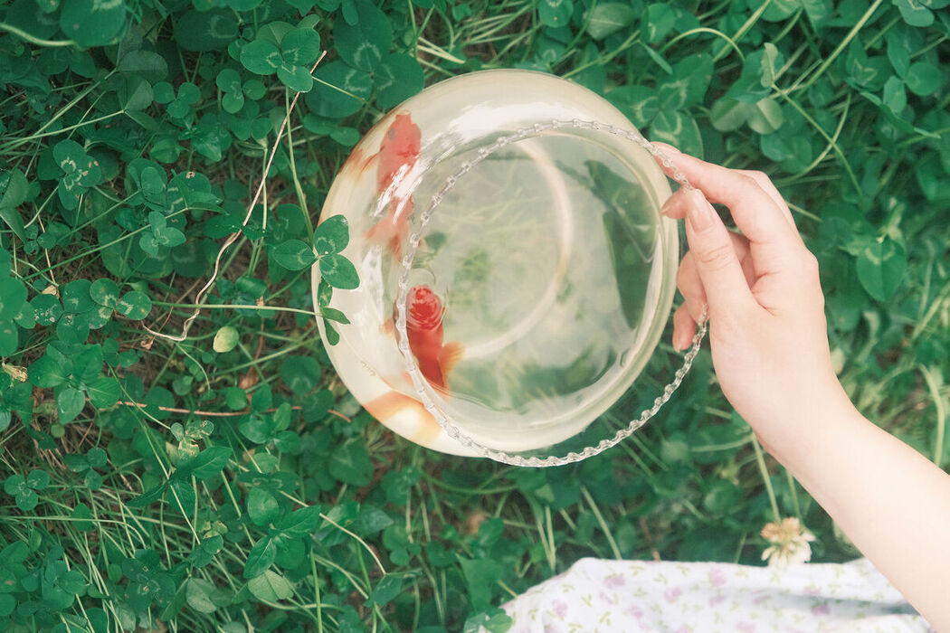 YiTuYu艺图语 Vol.8561 Yu Mi Mian (15P)