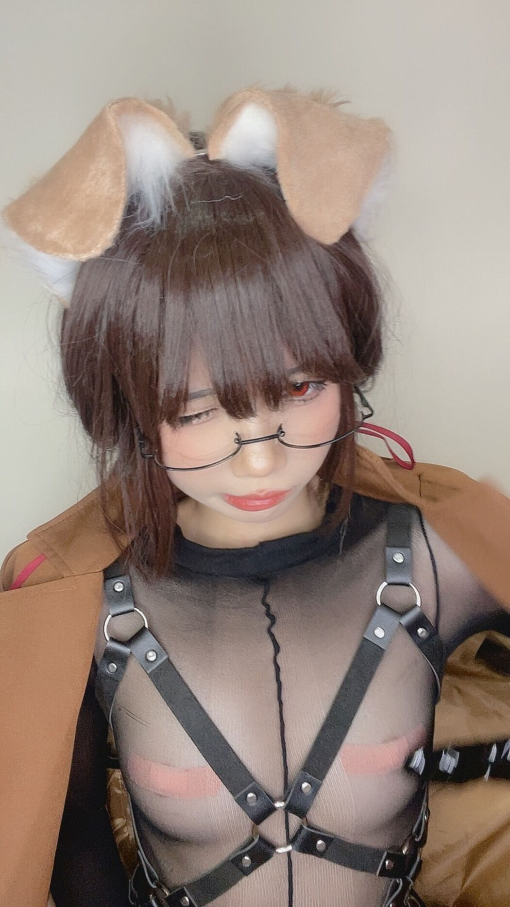 Coser@PoppaChan – Shiba Inu Part02 (56P)